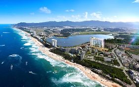 Hi Ocean Gyeongpo